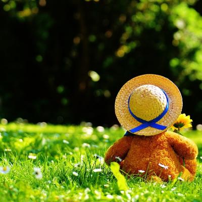 Povestea celebrului ursuleț Paddington, inspirată din realitatea refugiaților. Vocea sa a fost dublată în Ucraina de Zelenski