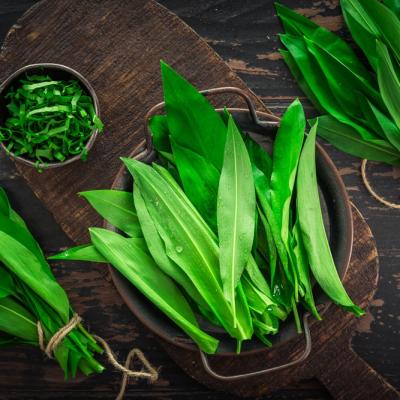 Leurda: Beneficii pentru sănătate și idei de utilizare în bucătărie