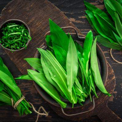 Leurda: Beneficii pentru sănătate și idei de utilizare în bucătărie