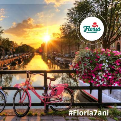 Floria sarbatoreste 7 ani de pasiune si experienta in livrarea de flori