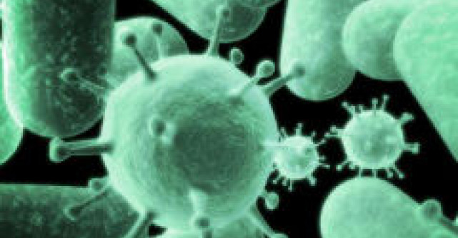 Cercetarea daneza in domeniul celulelor stem