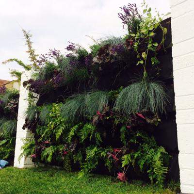 Gradini verticale: coltul din natura in locuinta ta