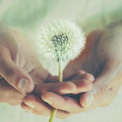 Ai grijă ce îți dorești