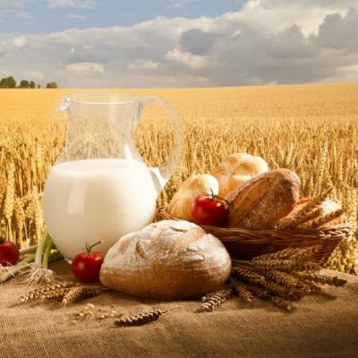 Painea cea de toate zilele: Care PAINE e mai buna si de ce