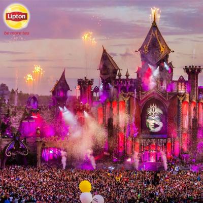 12 fani Lipton Ice Tea dau #verdelamuzica la Tomorrowland