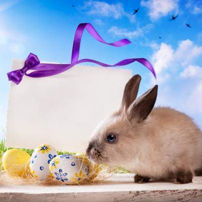 Paste castigator la Centrul Comercial Colosseum