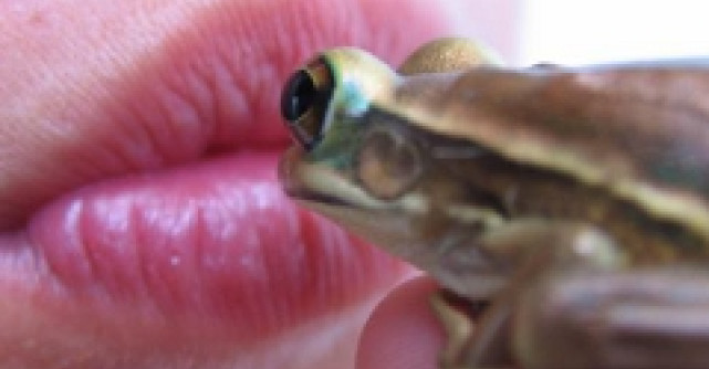 In cautarea fericirii: Sindromul broastei transformate in print