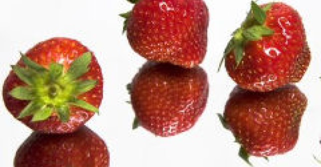 Sindromul X afecteaza tot mai multi oameni din intreaga lume