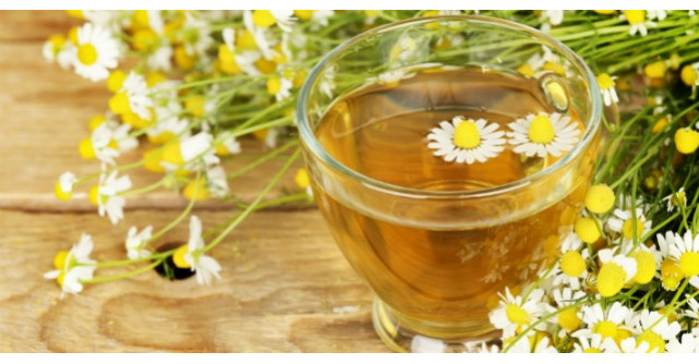 Ceaiul de musetel, tratament pentru zeci de boli