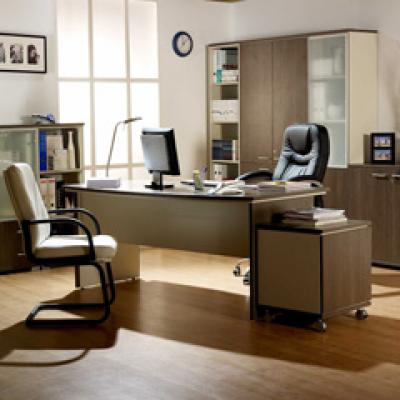 Recomandari de la Elvila pentru amenajarea biroului de la locul de munca