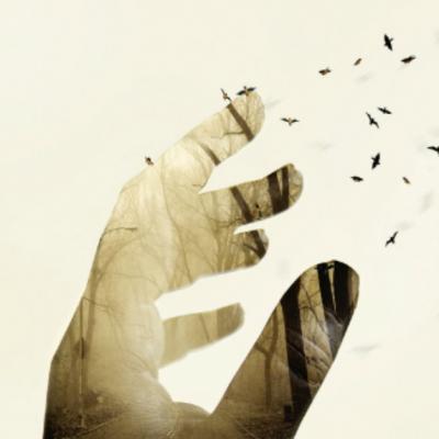 4 Lectii de viata minunate de la Rumi