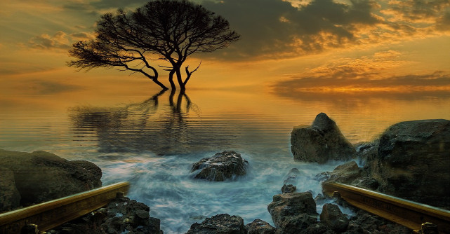 Horoscopul celtic al iubirii