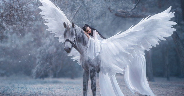 Magia Sanzienelor: Luni noapte iti visezi Alesul