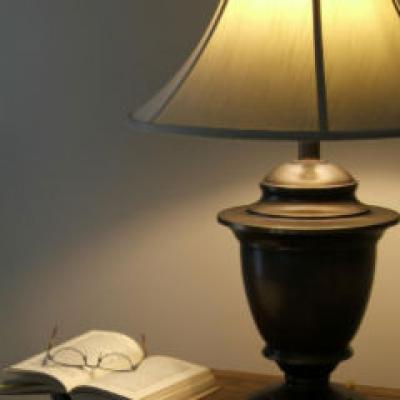 Cea de-a doua viata a lui Bree Tanner