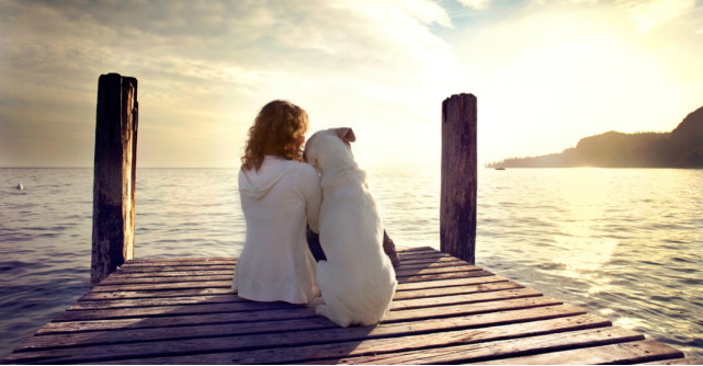 Astrologie: Animalul de companie potrivit pentru zodia ta