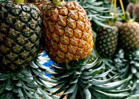 Ananasul: beneficii, proprietăți nutritive și efecte asupra sănătății