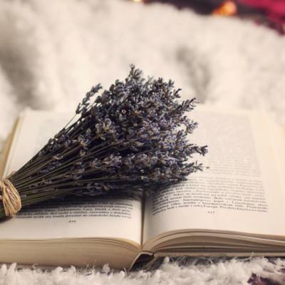 Plante somnifere – ca sa spui adio, insomnie!