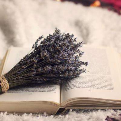 Plante somnifere – ca sa spui adio, insomnie!