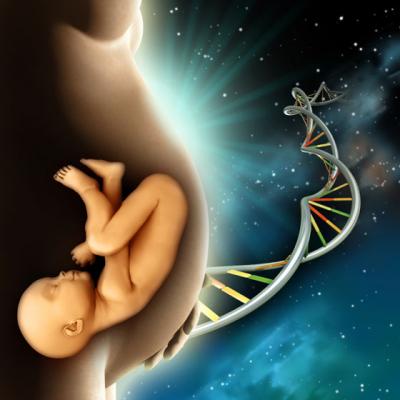 Ce invata bebe din burtica mamei