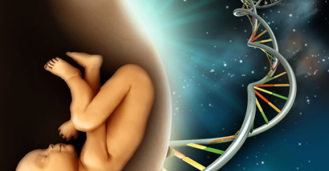 Ce invata bebe din burtica mamei