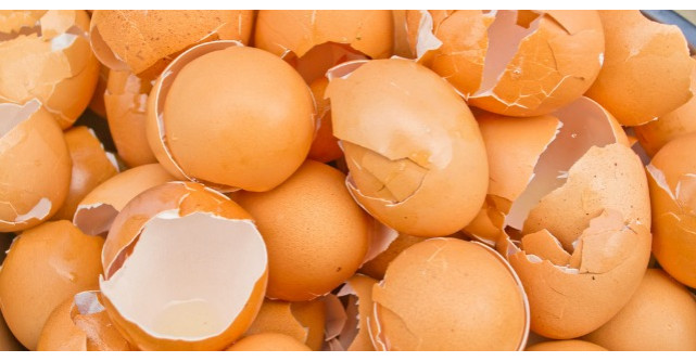 Dupa ce vei citi ASTA, nu vei mai arunca NICIODATA cojile de ou