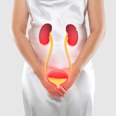 Infecția urinară la femei: simptome alarmante, cauze, tratamente și cum o previi