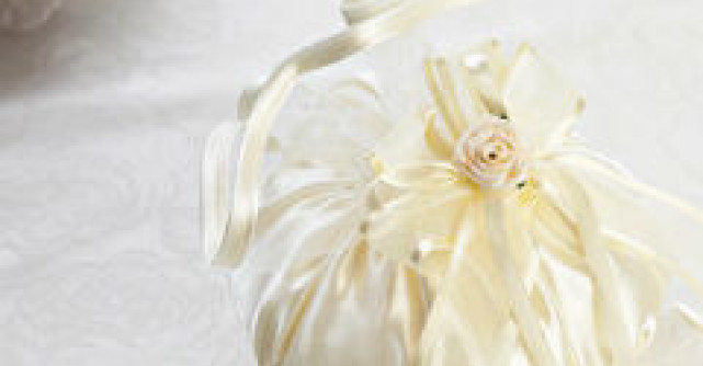 Posete de mireasa si de nunta