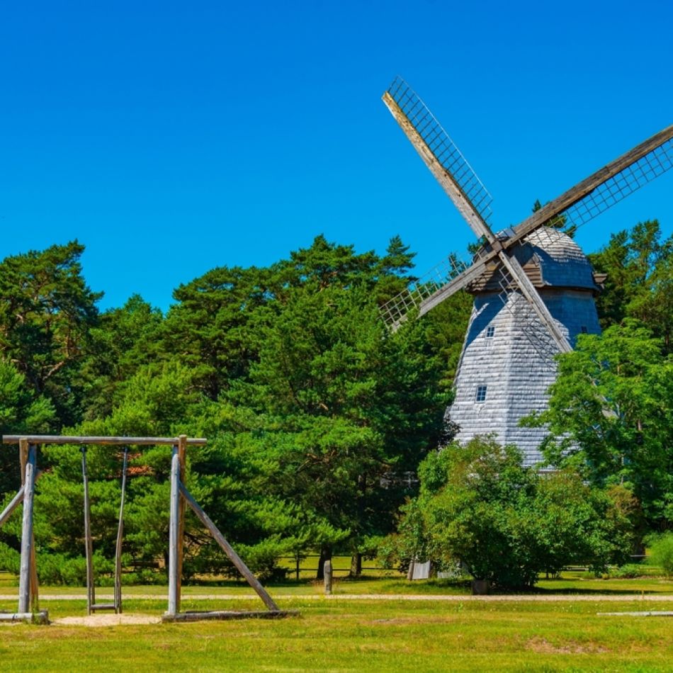 Știați că există o capitală europeană a vacuțelor? Descoperă statutele inedite din orașul Ventspils – GALERIE FOTO