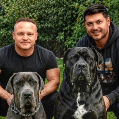 Vârciu și Pepe, duel total! Miza uriașă: cine va avea viitorii campioni Cane Corso?