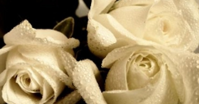 Natale...mirosul Craciunului