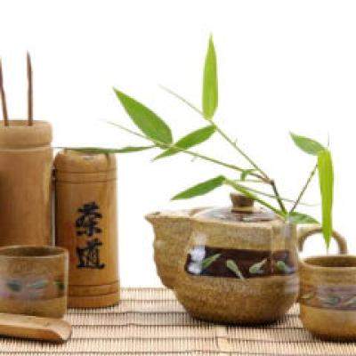 Atentie: Plante interzise pentru gravidute!