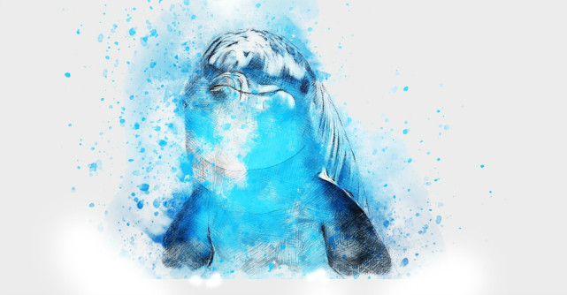 Ezoteric: 7 obiecte feng-shui aducatoare de noroc si fericire