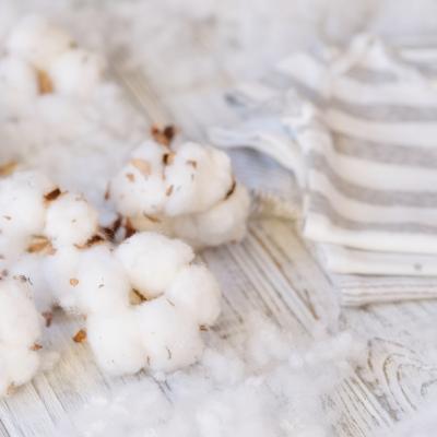 Bumbacul organic - fibra naturală cu cele mai multe beneficii din industria textilă