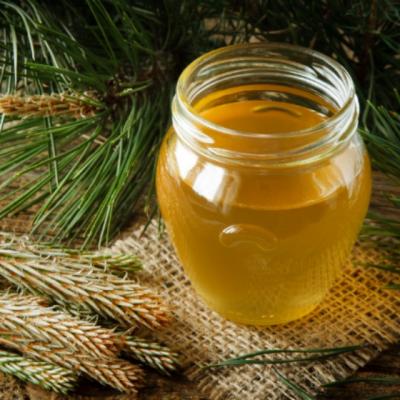 Efectele miraculoase ale siropului de muguri de brad
