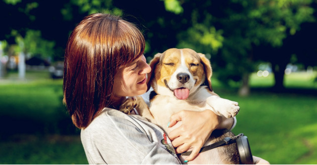 Fii cel mai bun prieten al câinelui tău