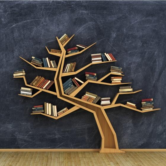 7 carti pentru copii mici si mari