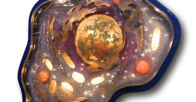 Ziua Mondiala de lupta impotriva TURBARII