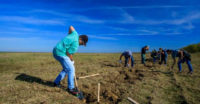 Peste 220 de gospodari români practică agricultură regenerativă la Zimnicea