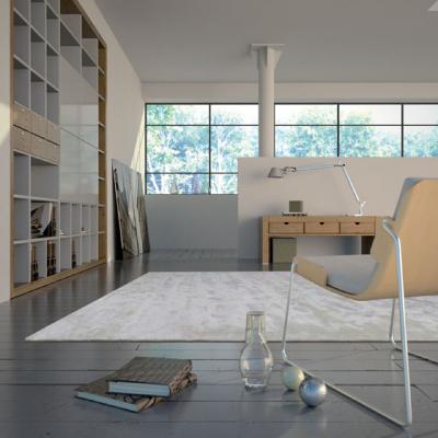 Cum sa impiedici mizeria sa patrunda in casa