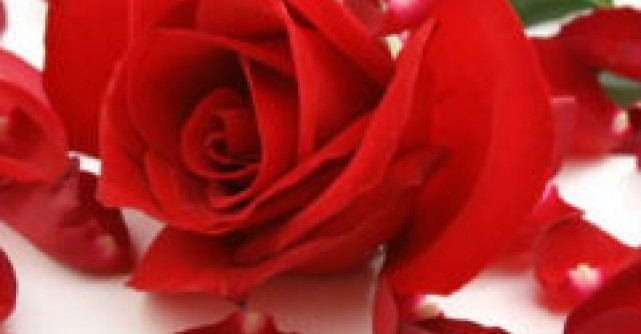 Nu te mai iubesc, draga mea...