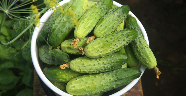 Câte calorii au castraveții cruzi/murați și beneficiile lor pentru sănătate