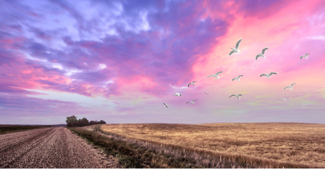 5 mesaje de suflet de la Chris Simion