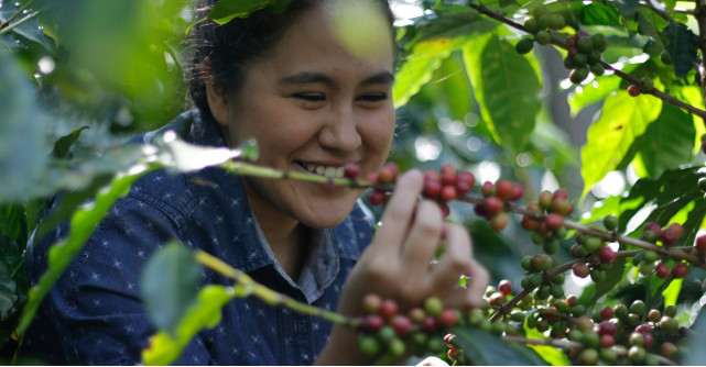 Strauss Coffee ne invita la o ceasca de cafea cu constiinta