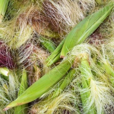 Ceaiul din matase de porumb vindeca foarte multe boli. Iata cum se prepara corect