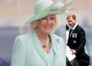 Camilla, gest neașteptat față de Prințul Harry, pentru a-l susține pe Regele Charles