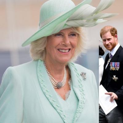 Camilla, gest neașteptat față de Prințul Harry, pentru a-l susține pe Regele Charles