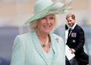 Camilla, gest neașteptat față de Prințul Harry, pentru a-l susține pe Regele Charles