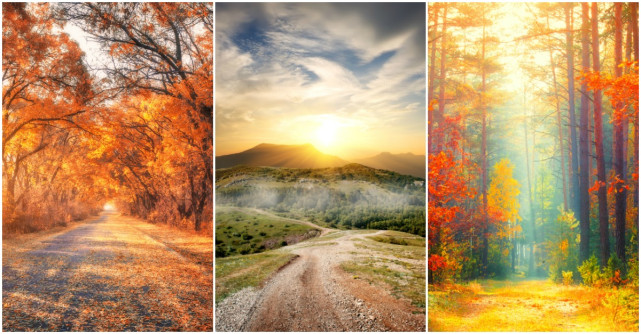 Alege un drum de toamna si afla ce ti-a pregatit Universul pentru urmatoarele luni