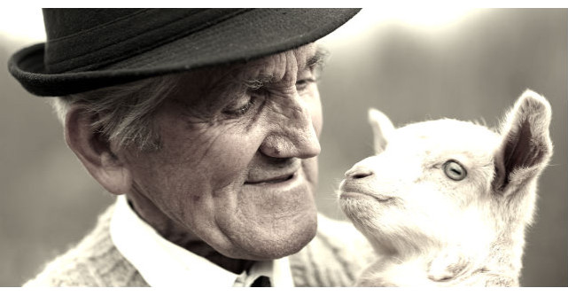 Prietenul lui cel mai bun a murit. Mesajul acestui batranel? O lectie de viata