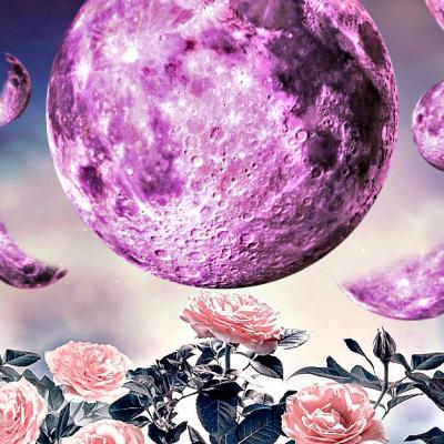 Luna Roz de pe 16 aprilie, cea mai importantă lună plină a primăverii, este poarta noastră către fericire